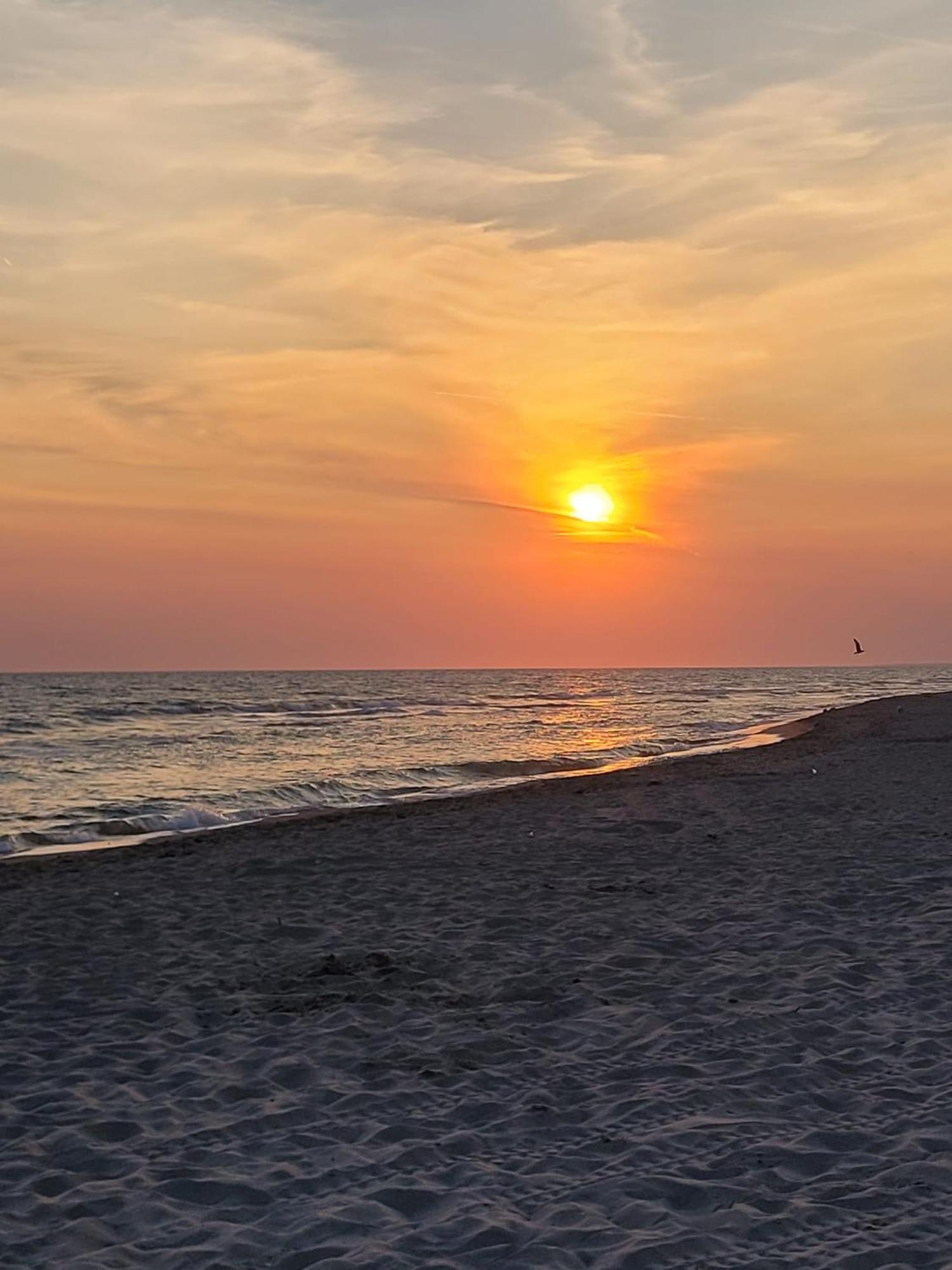 Willa La Stella Sea House Torvaianica Zewnętrze zdjęcie